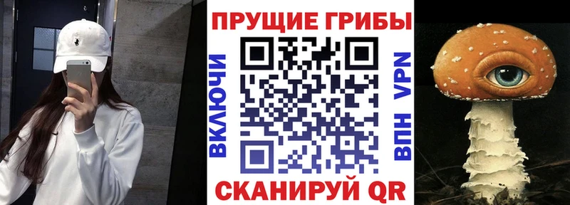 Галлюциногенные грибы GOLDEN TEACHER  Красновишерск 